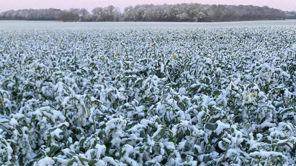 Météo-France prévoit de nouvelles gelées matinales pour la fin de la semaine, suivies d’une remontée des températures ce week-end. (image d’illustration) © Twitter @EricTHIROUIN